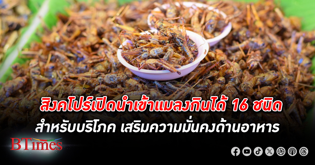 สิงคโปร์ ไฟเขียวนำเข้า แมลงกินได้ 16 ชนิด คาดเสริมความมั่นคงทางอาหาร