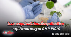 โรงงานสมุนไพร ในประเทศ 500 แห่ง เสี่ยงถูกปิด ไม่ผ่านมาตรฐาน GMP PIC/S