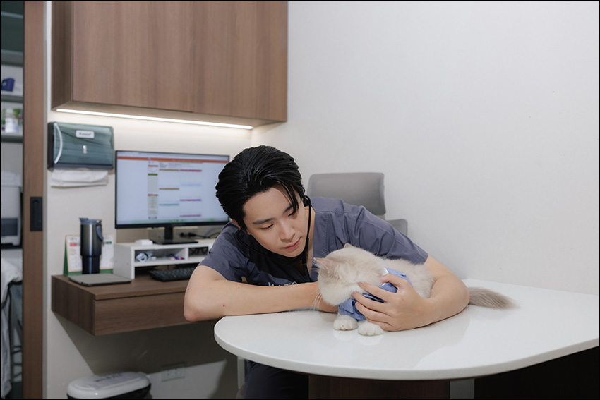 โรงพยาบาลสัตว์ฮาโตะ - Hato Animal Hospital