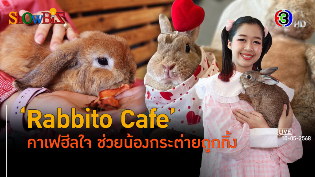 Rabbito Cafe คาเฟแนวซีเอสอาร์ช่วยกระต่ายถูกทิ้ง l 10 พ.ค. 68 FULL l BTimes Weekend