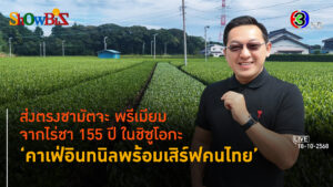 เปิดตำนานไร่ชามัตจะ ชิซุโอกะ สู่เมนูชามัตจะในร้านอินทนิล l BTimes