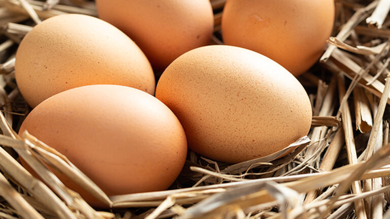 เครือข่ายสหกรณ์ผู้เลี้ยงไก่ไข่ แจ้งปรับลดราคา ไข่ไก่ ฟองละ 20 สต. จาก 3.40 บาทเหลือ 3.20 บาท/ฟอง ให้มีผลเลยทันที