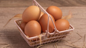 ผู้ประกอบการยืนยันผลผลิต ไข่ไก่ ไทยปลอดภัยสูง คุมเข้มป้องกันไข้หวัดนกช่วงฤดูหนาวทั้งระบบ อาจมีการปรับราคาหน้าฟาร์มขึ้นเป็นครั้งคราวรับต้นทุน