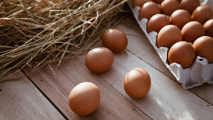 ราคาไข่ไก่ หน้าฟาร์มดิ่งถูกสุดในเกือบ 3 ปี เหลือแค่ฟองละ 3 บาท เกษตรกรเลี้ยงไก่ไข่จ่อเลิกเลี้ยงถาวรในอีก 2 เดือนหน้า ฟาร์มย่อยไม่ทำต่อ 15-20% สารพัดปัญหาตั้งแต่ท่องเที่ยวต่างชาติหด เศรษฐกิจไทยซึม กินเจ ปิดเทอม ไข่ล้นตลาดข้ามภูมิภาค