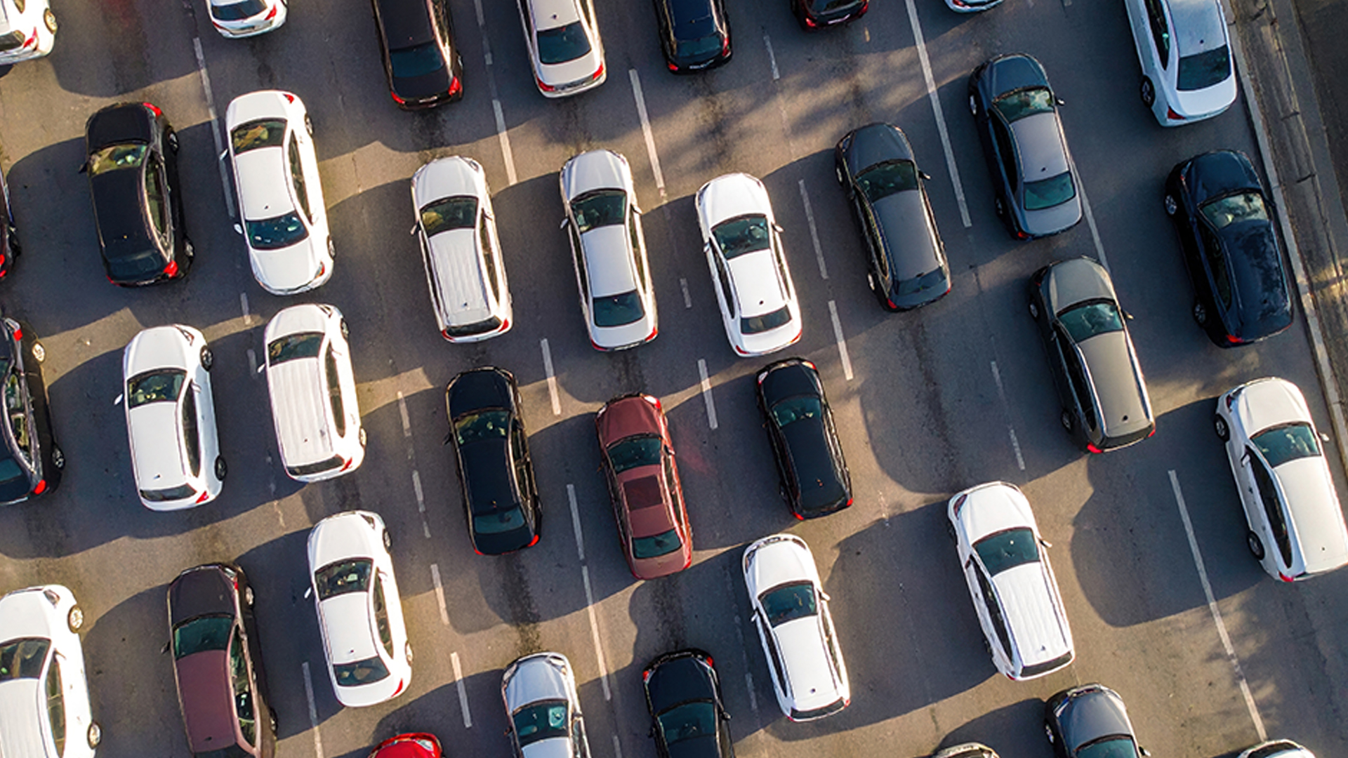 สำรวจพบเกินครึ่งของผู้ซื้อรถยนต์ทั่วโลกมีแผนซื้อรถคันใหม่เป็นรถน้ำมัน อีวายเผยความชอบชื่นชอบจะซื้อรถคันใหม่เป็นอีวีลดต่ำลงถึง 10% กลุ่มเป้าหมายซื้อรถอีวีมีถึง 36% คิดใหม่ หรือชะลอซื้อรถอีวี ผลพวงนโยบายพลังงานกลับลำ คนสงสัยโครงสร้างพื้นฐานรถอีวี