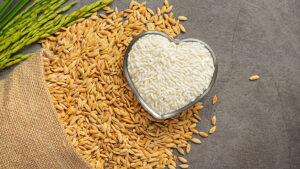 ครม .เคาะขยายโครงการชดเชยดอกเบี้ยให้ผู้ประกอบการค้า ข้าว เก็บสต๊อกอีก 6 เดือน ถึง 30 เม.ย. 69 ดูดซับข้าวเปลือกนาปี เป้า 3 ล้านตัน วงเงิน 1.6 พันล้าน