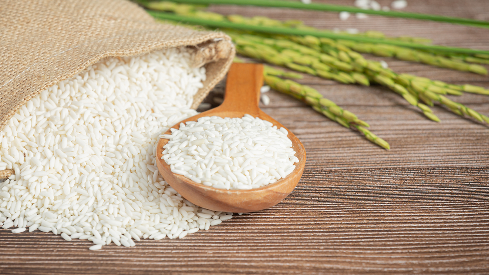 ผู้ส่งออกข้าว ชี้ข้อกำหนดสต็อกข้าว 100 ตัน นับเป็นมาตรฐานปกติ ไม่กระทบตลาด สกัดพ่อค้าฉวยโอกาส ชี้ข้าว 100 ตัน คำนวณเป็นมูลค่าทางการค้าถือว่าน้อยมาก