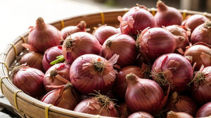 พาณิชย์ คาดผลผลิต หอมแดง ช่วงม.ค.จะล้นตลาด หวั่นกดราคาตก ศรีสะเกษเป็นแหล่งผลิตใหญ่สัดส่วน 70% ของประเทศ เร่งออกมาตรการดูดซับ–ส่งออกกว่า 7,000 ตัน ดันราคาขึ้น